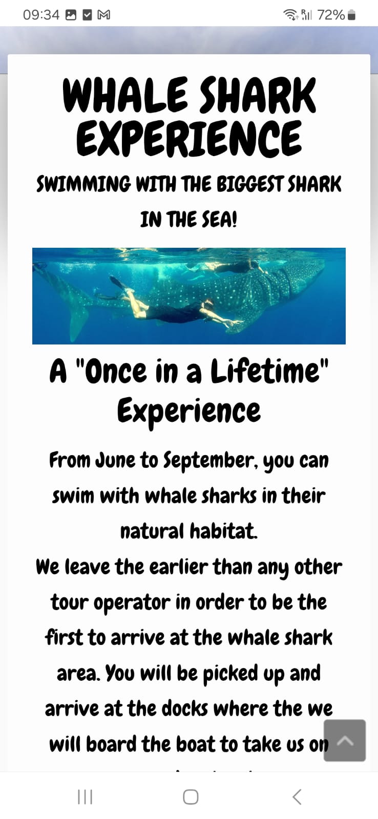 Whale Shark Experience